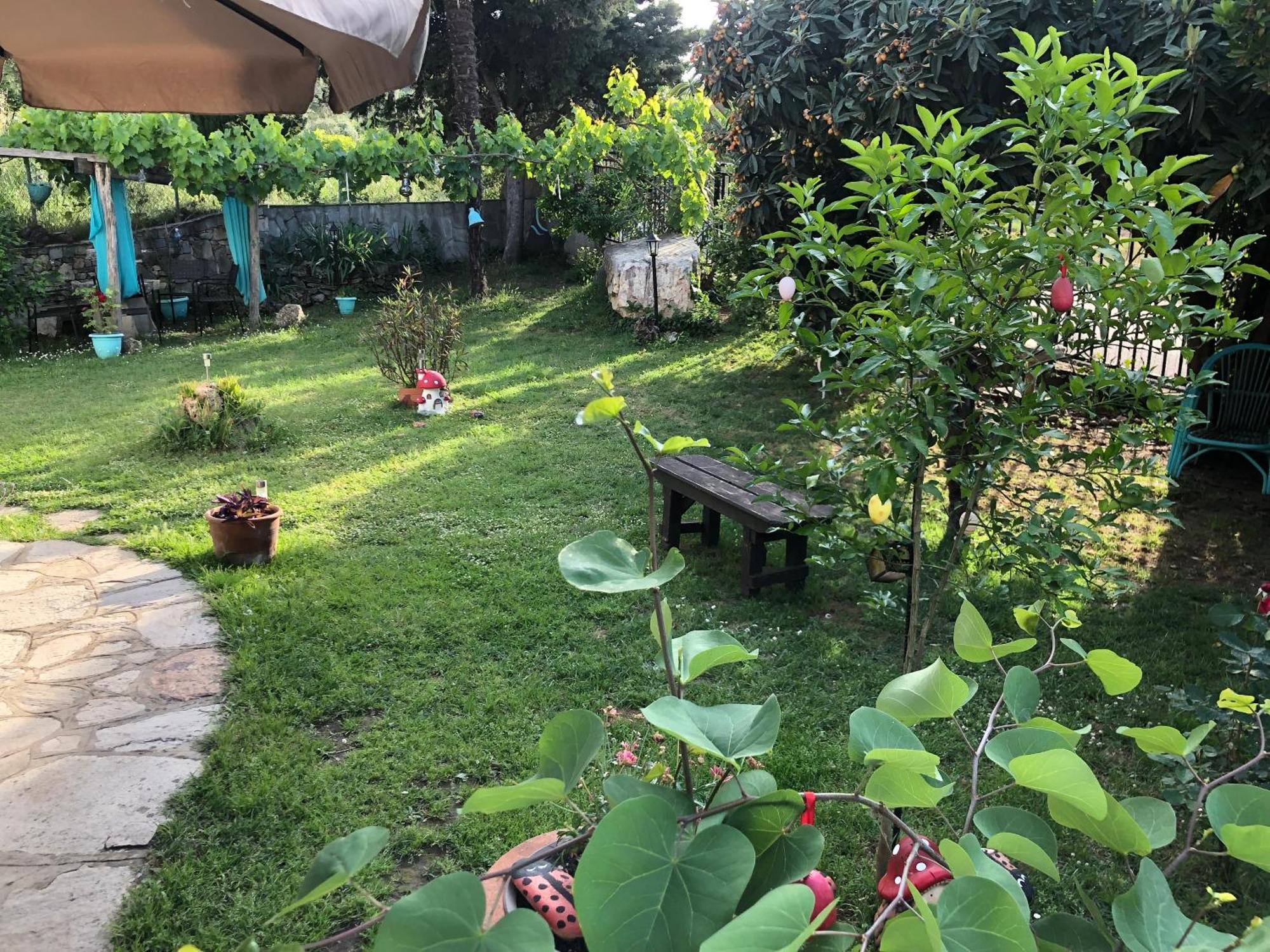 Holiday home Talos House Rachoni (Thasos)